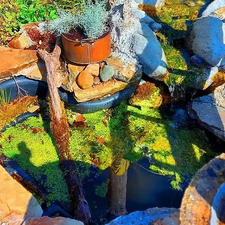 Sportsmans Valley